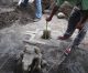 Ganesha Vigraha recovered from the site of Islamic University in Indonesia